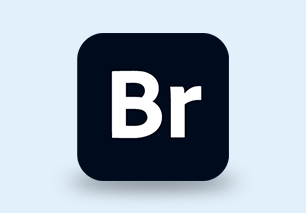 Adobe Bridge 2025 (v15.0.0.397) 多语言破解版 - 聚问天空网